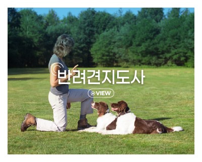 반려견지도사