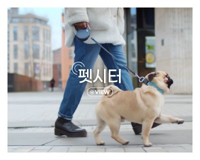 펫시터