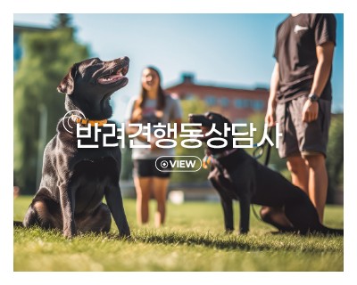 반려견행동상담사