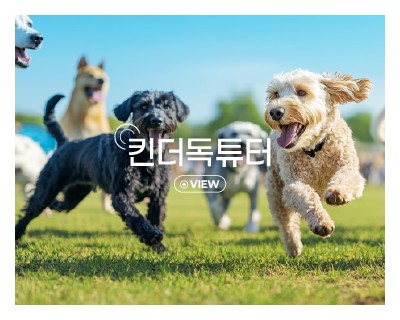 킨더독튜터