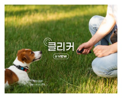 클리커